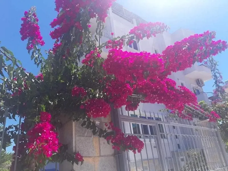Lejlighedshotel Vila Ester Ksamil