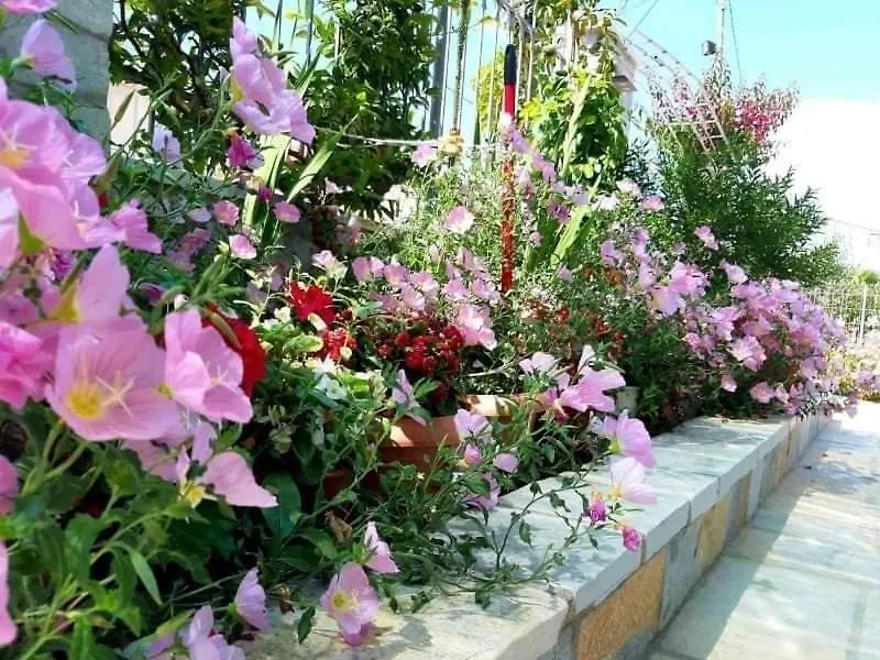 Vila Ester Ksamil Lejlighedshotel