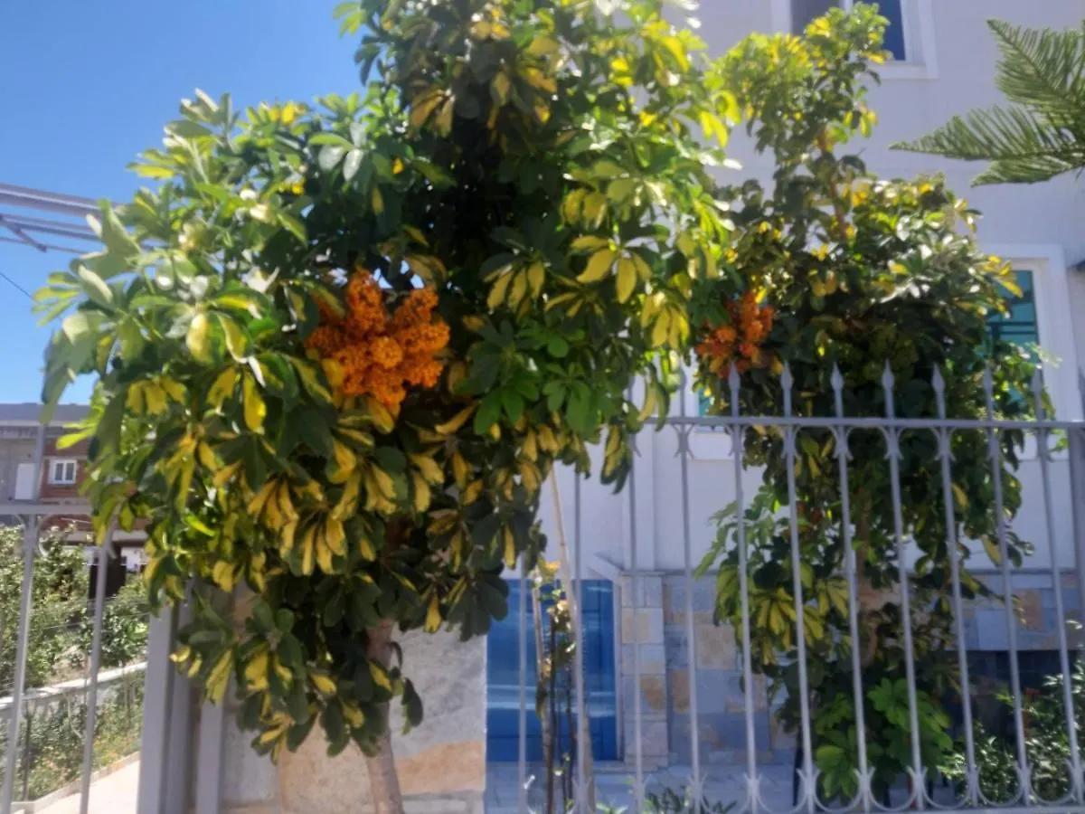 Vila Ester Ksamil Albanien