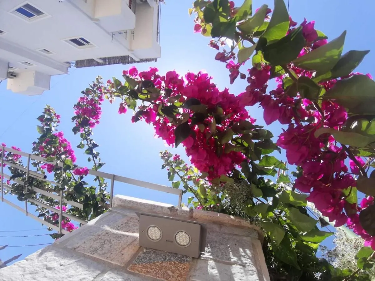 Vila Ester Ksamil Lejlighedshotel